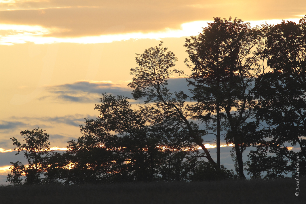  Abendstimmung Copyright Josef Limberger 