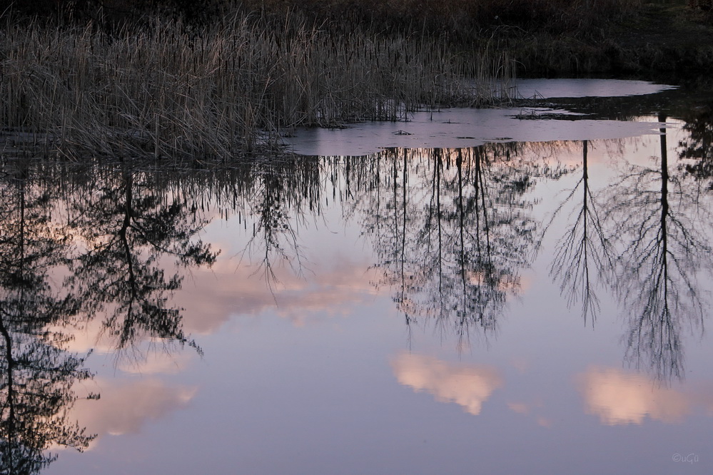 Abendstimmung