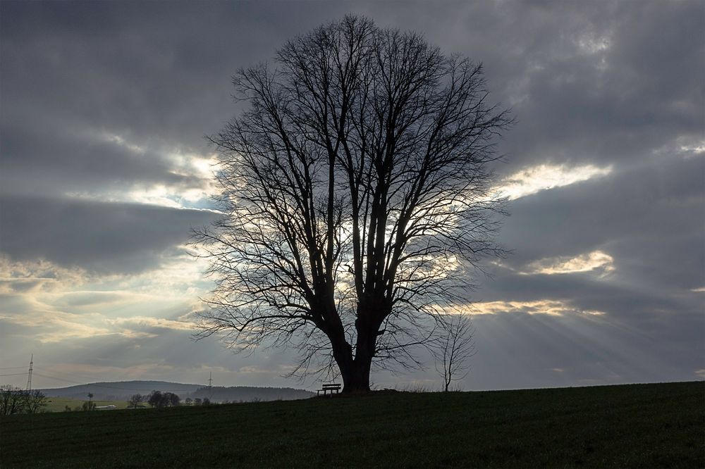 Abendstimmung