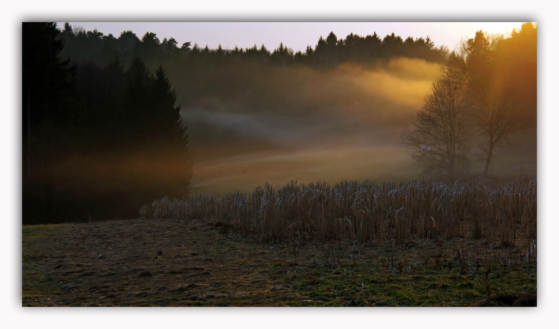 Abendstimmung