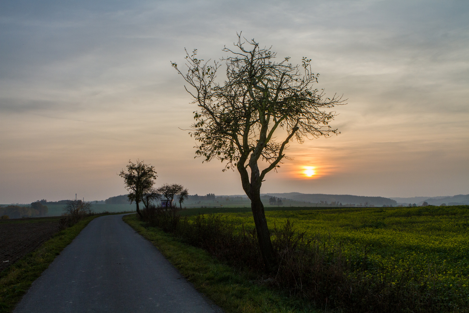 Abendstimmung