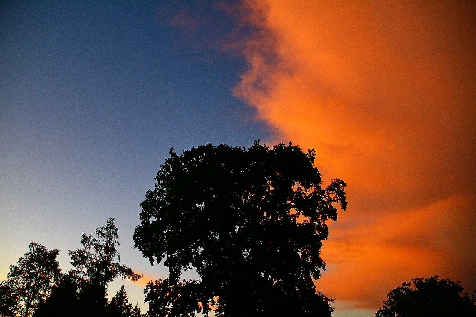 Abendstimmung / die Eiche und die Wolken