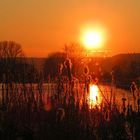 Abendstimmung - die Welt steht in Flammen