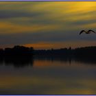 Abendstimmung      -       Dienstag ist Spiegeltag 11.08.2020