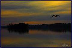 Abendstimmung      -       Dienstag ist Spiegeltag 11.08.2020