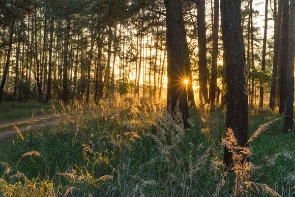 12 - Feuer Bilder & Fotos