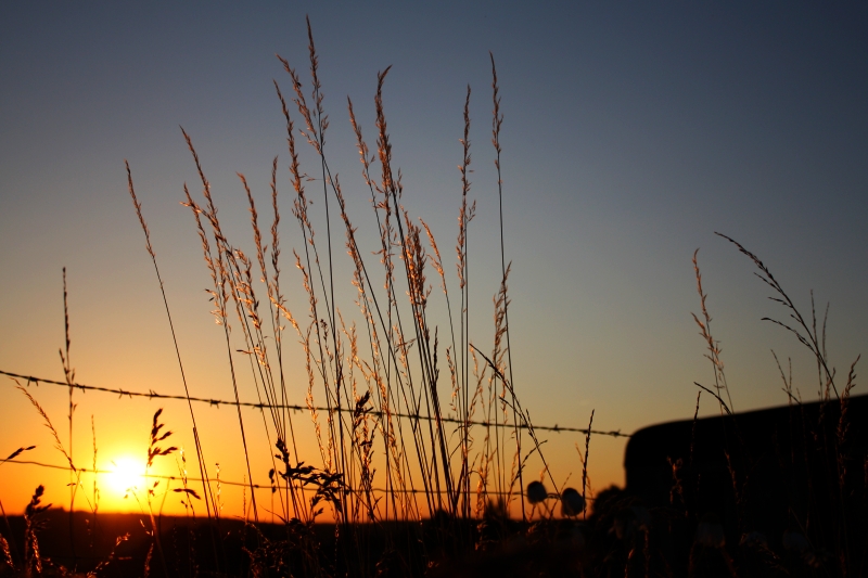 Abendstimmung