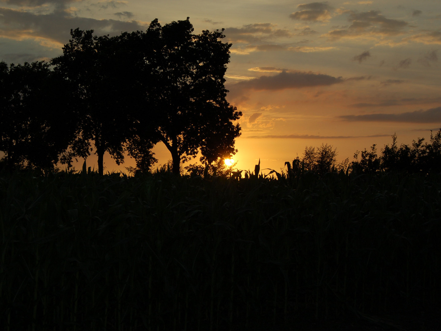 Abendstimmung