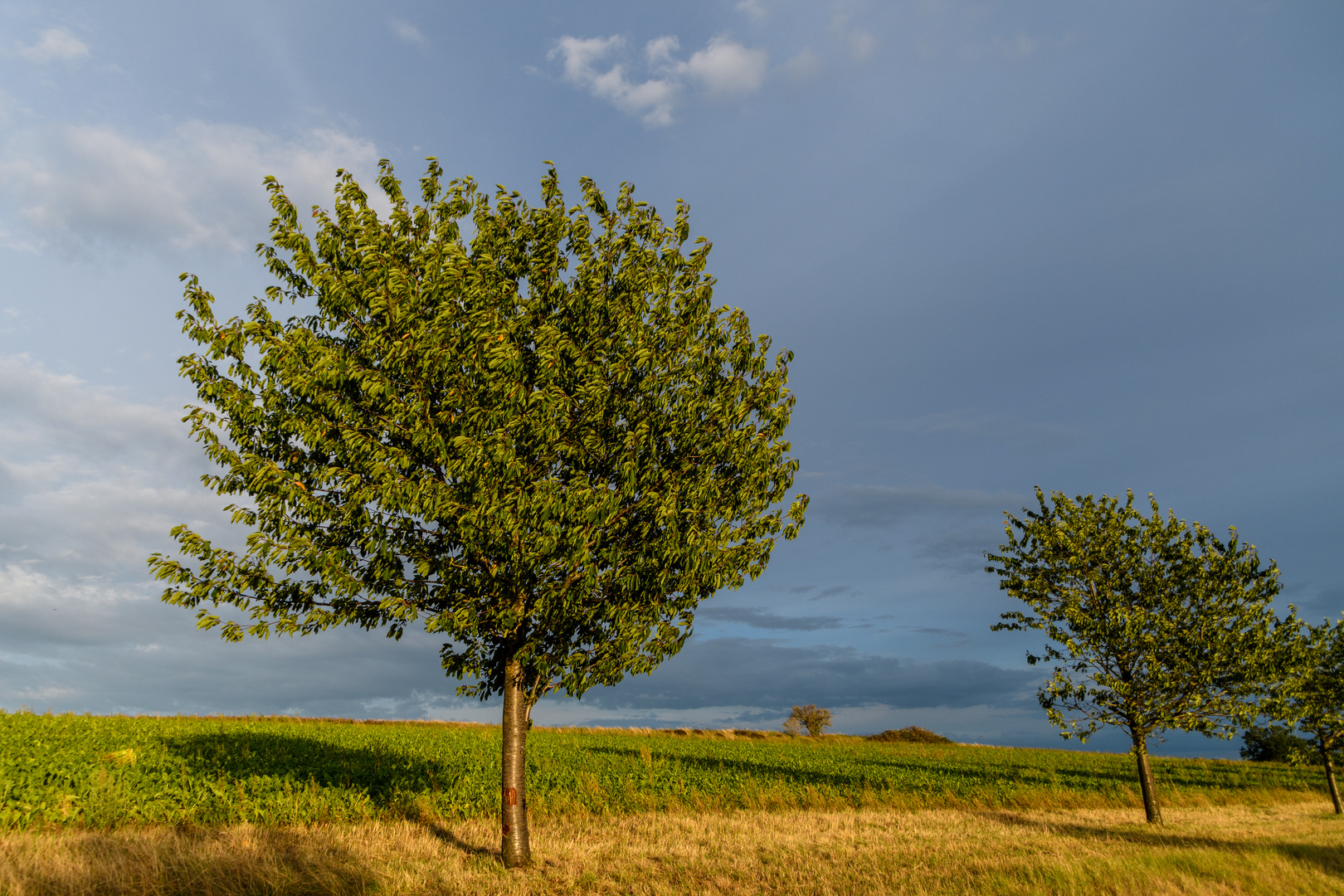 Abendstimmung