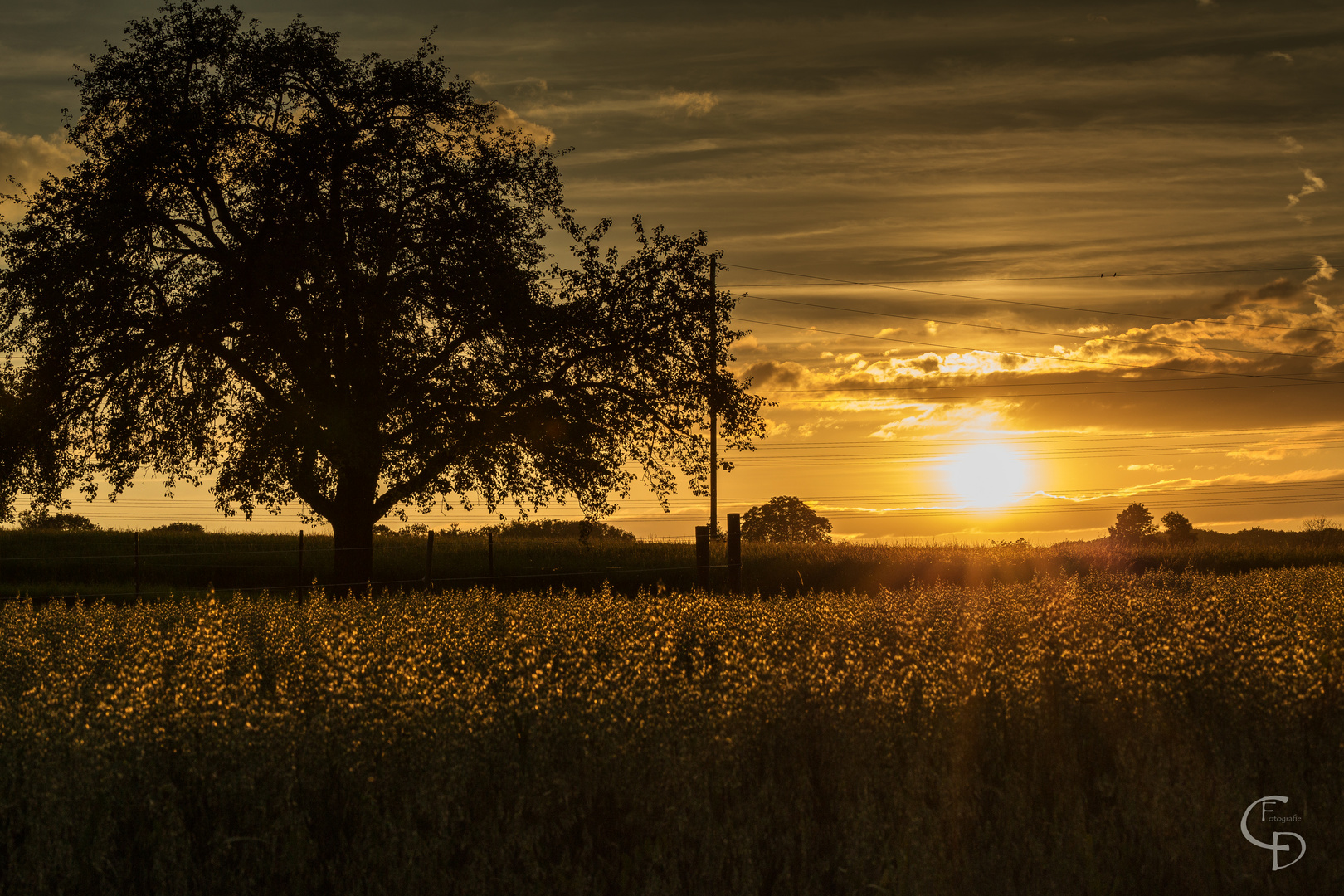 Abendstimmung