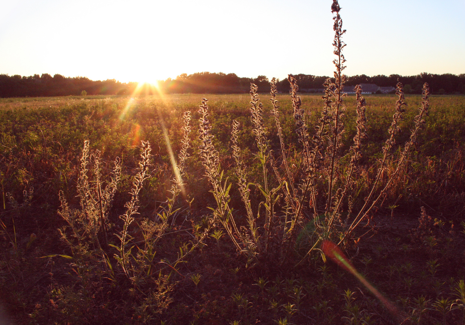 abendstimmung