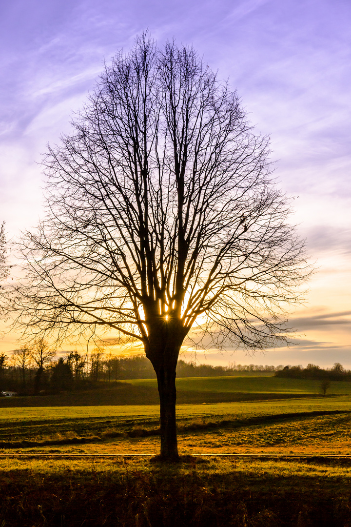 Abendstimmung