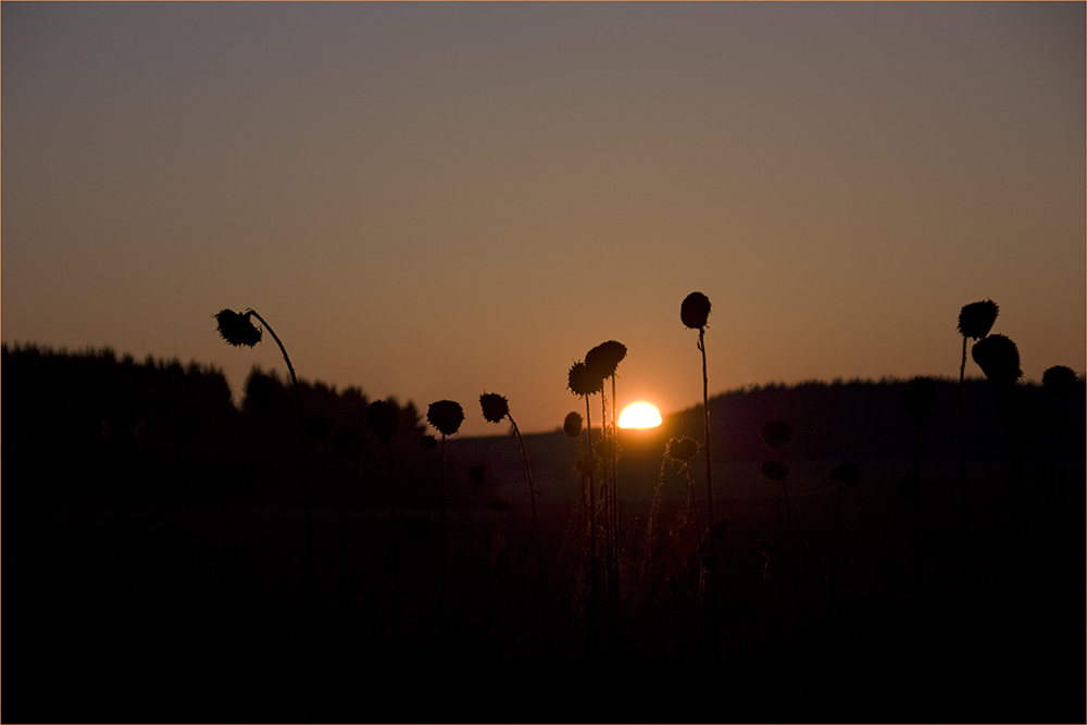 Abendstimmung