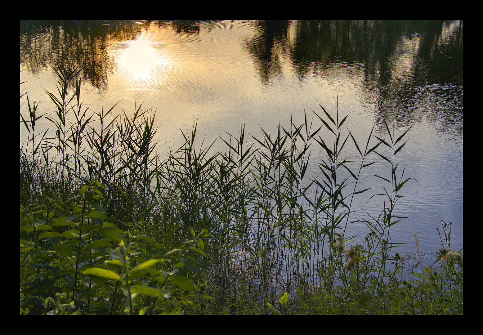 Abendstimmung