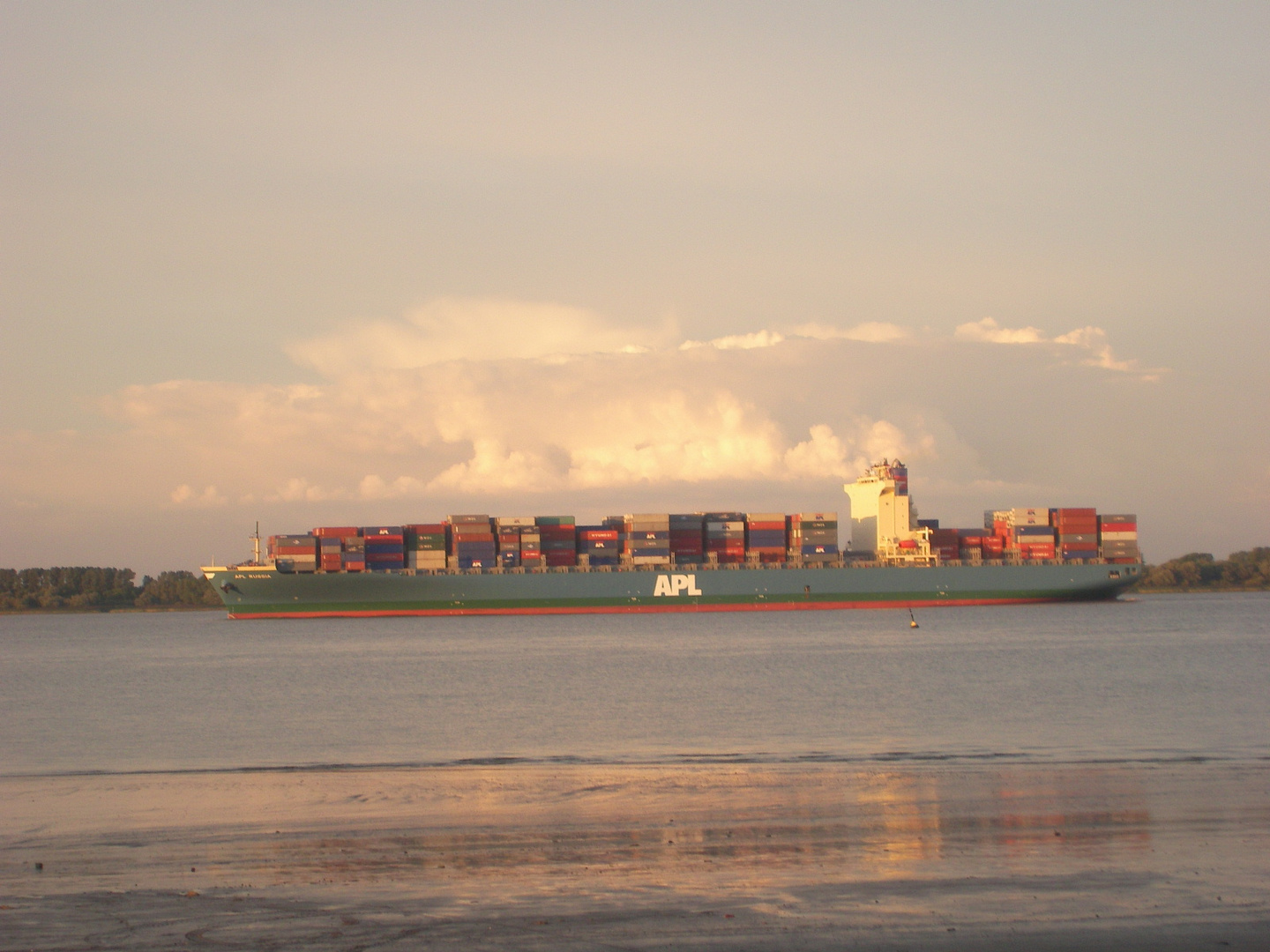 Abendstimmung Elbinsel Krautsand mit Containerschiff