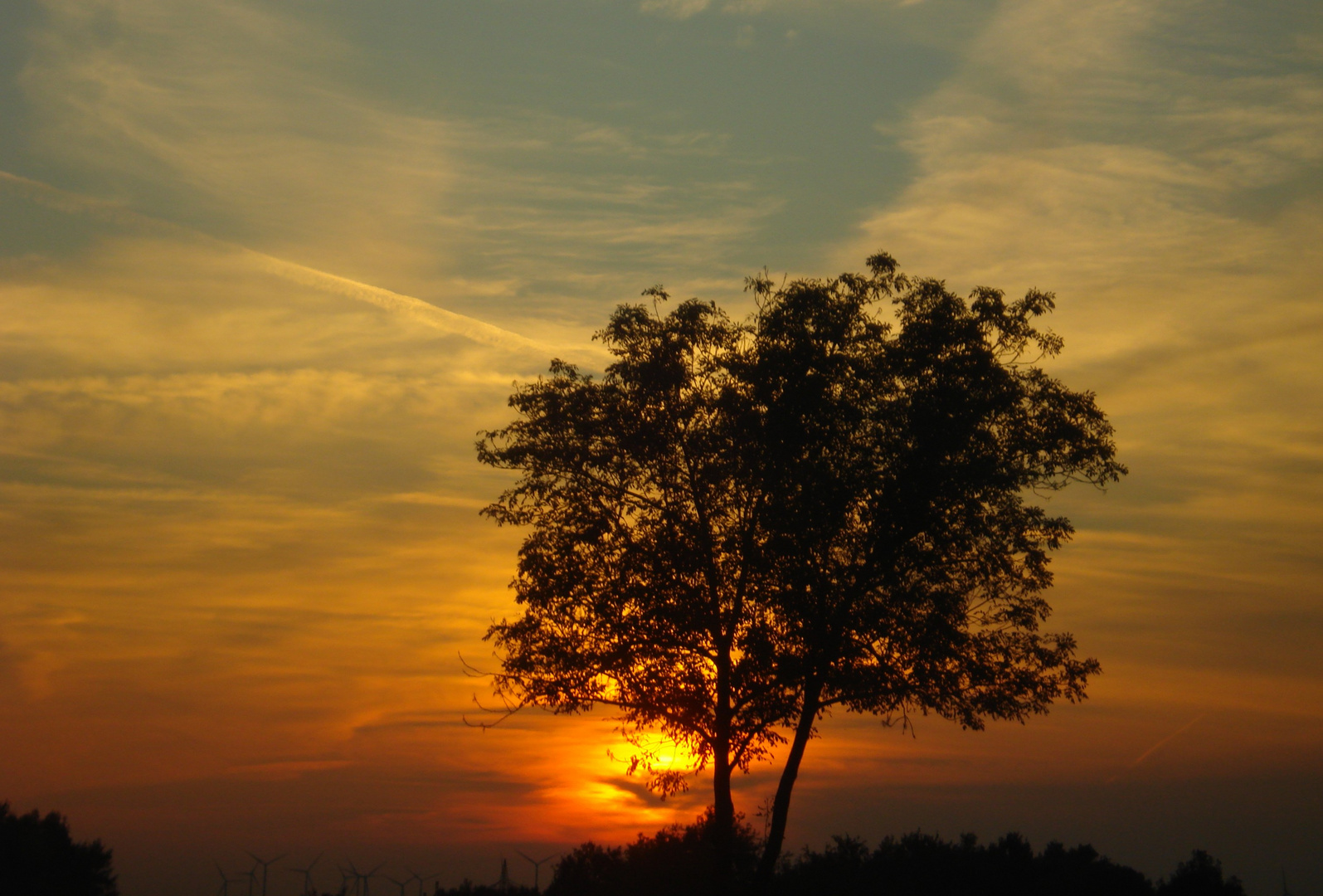 Abendstimmung entlang der Autobahn