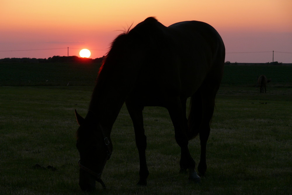 Abendstimmung