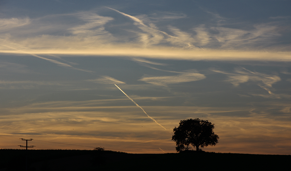 Abendstimmung