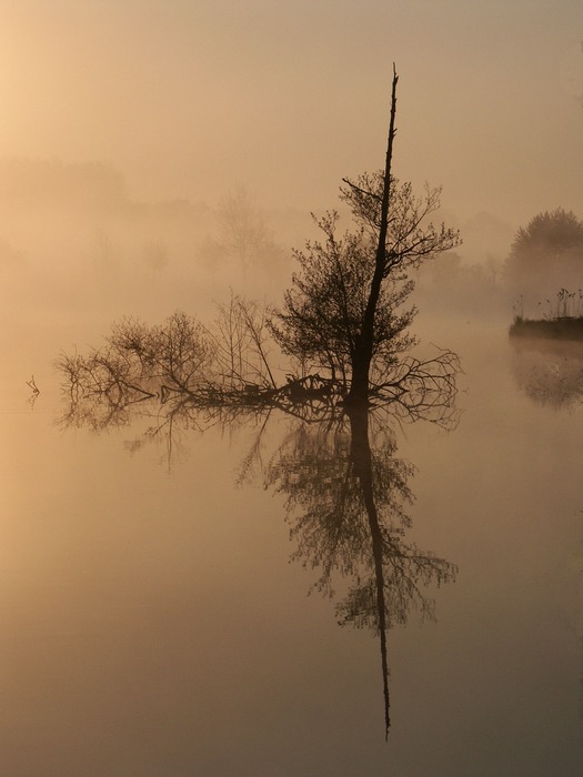 Abendstimmung