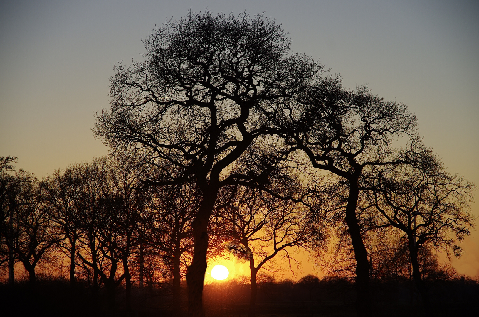 Abendstimmung