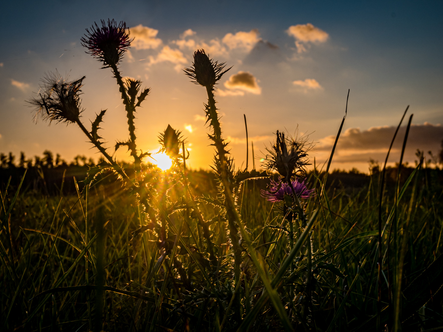 Abendstimmung