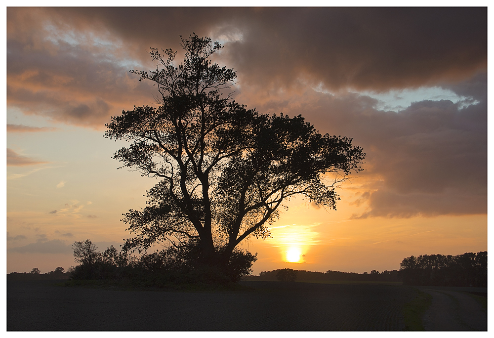 Abendstimmung