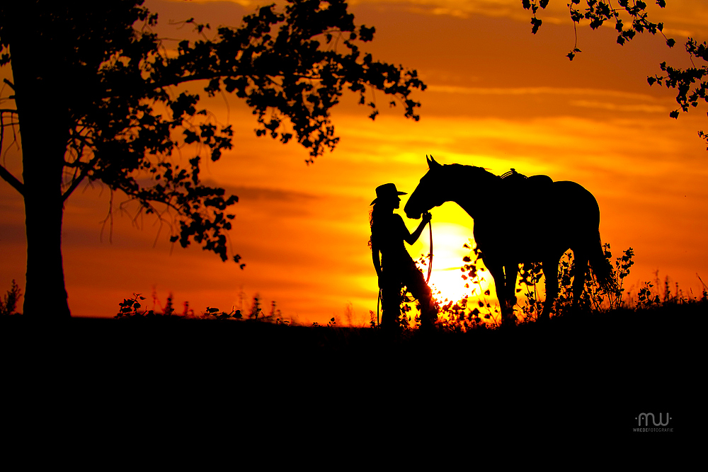 Abendstimmung