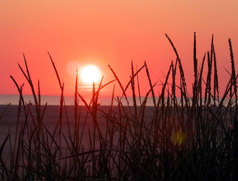 Abendstimmung