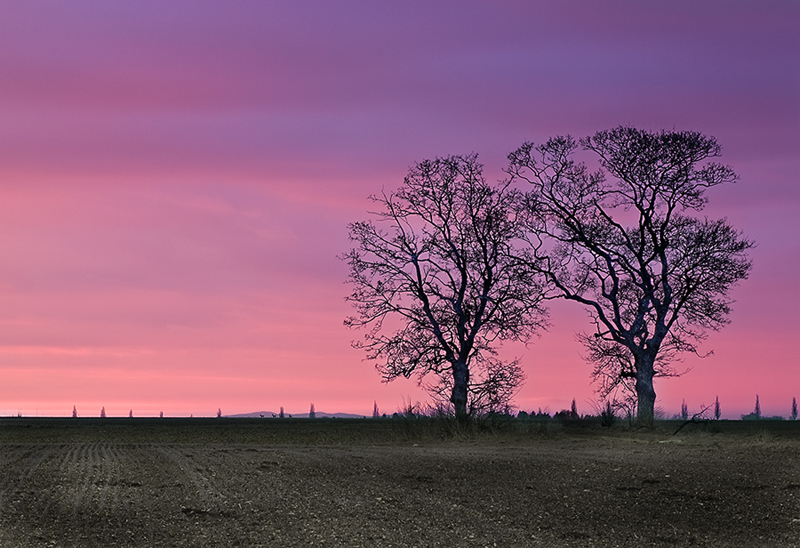 Abendstimmung