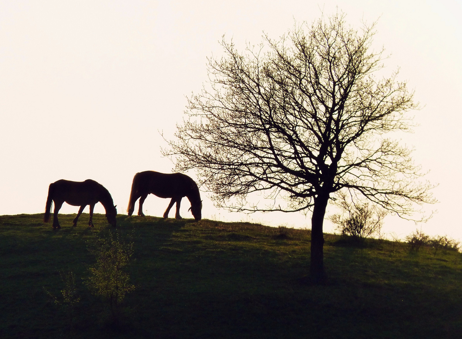 Abendstimmung