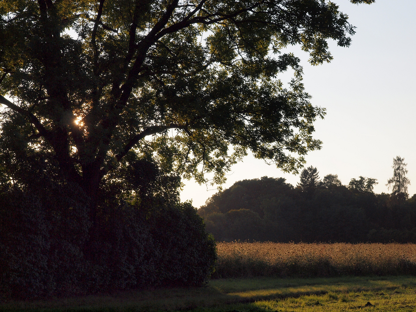 Abendstimmung