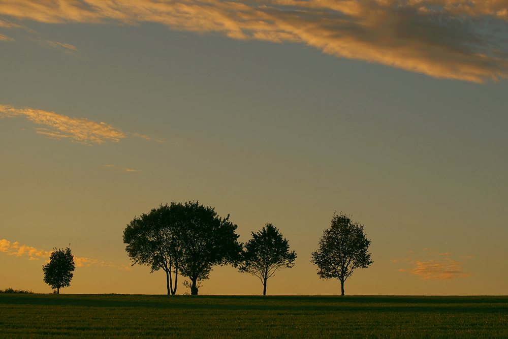 Abendstimmung