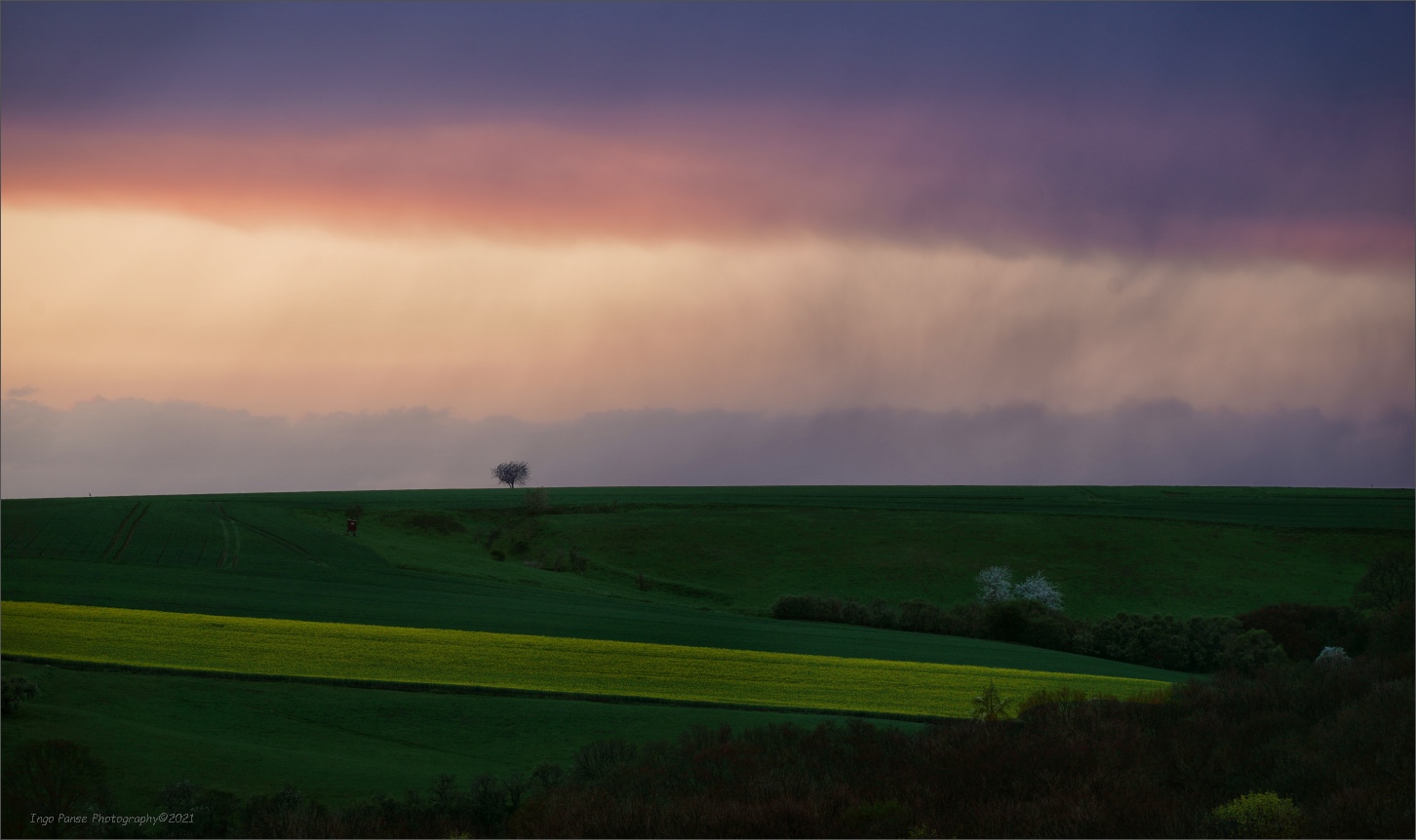 - Abendstimmung -