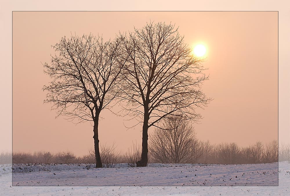 Abendstimmung