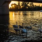 Abendstimmung Frankfurt am Main