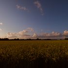 Abendstimmung Ganderkesee-Schlutter