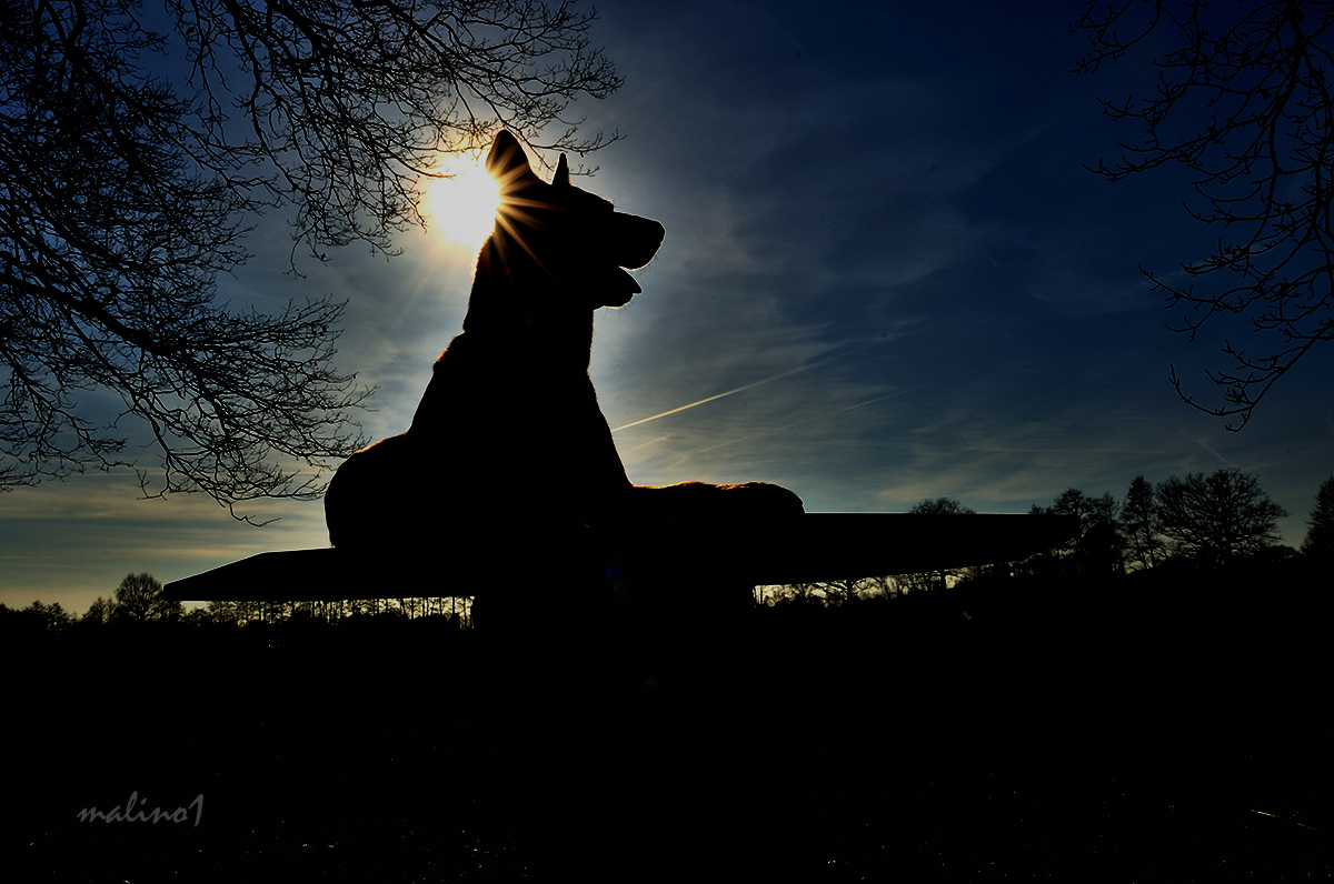 Abendstimmung genießen....