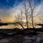 Abendstimmung Halbinsel Mettnau Bodensee