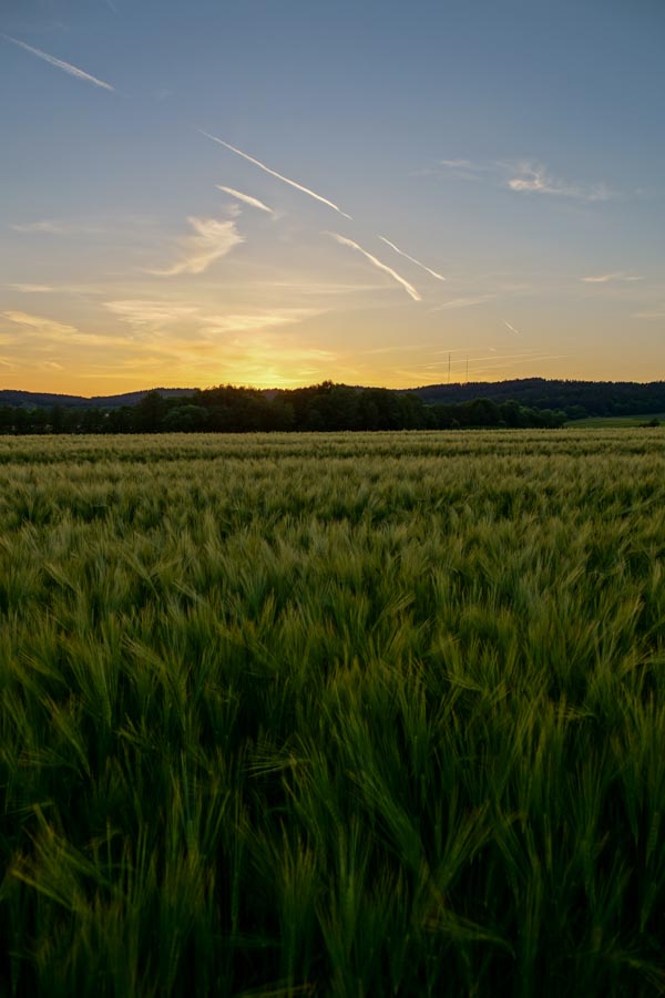 Abendstimmung HDR