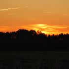 Abendstimmung Hummelsbüttel