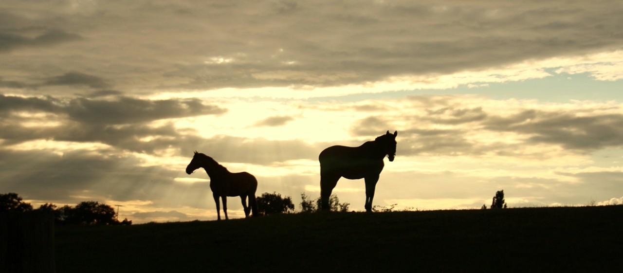 Abendstimmung II