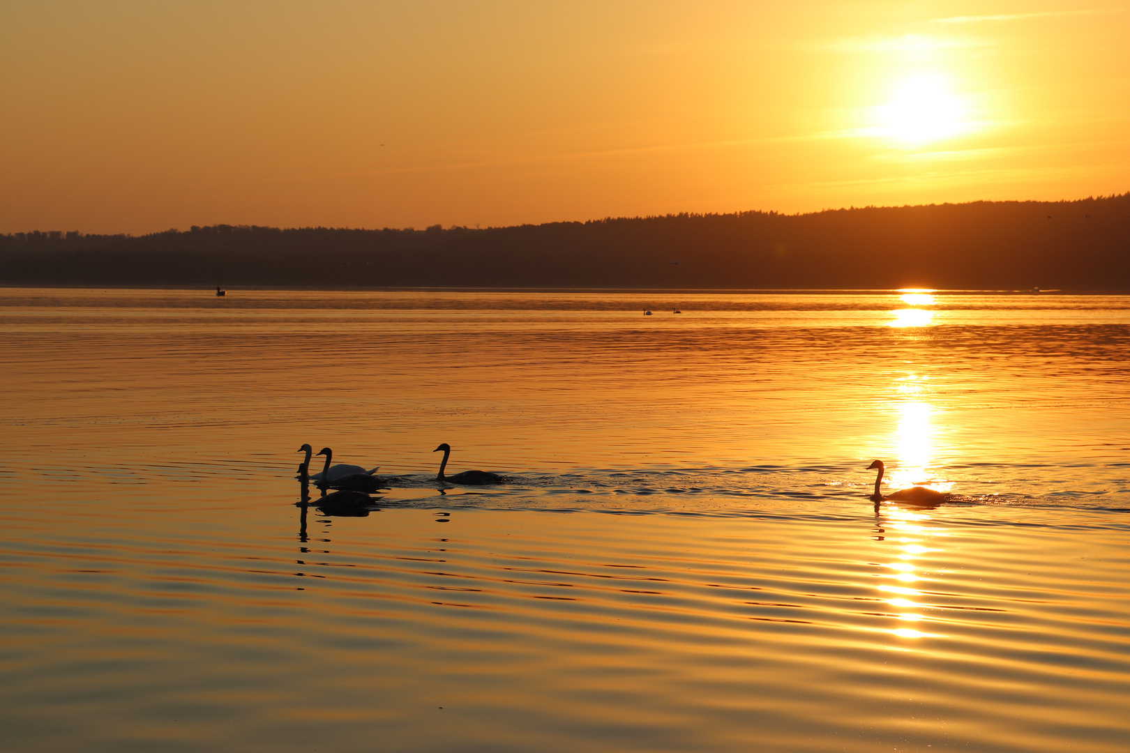 Abendstimmung II