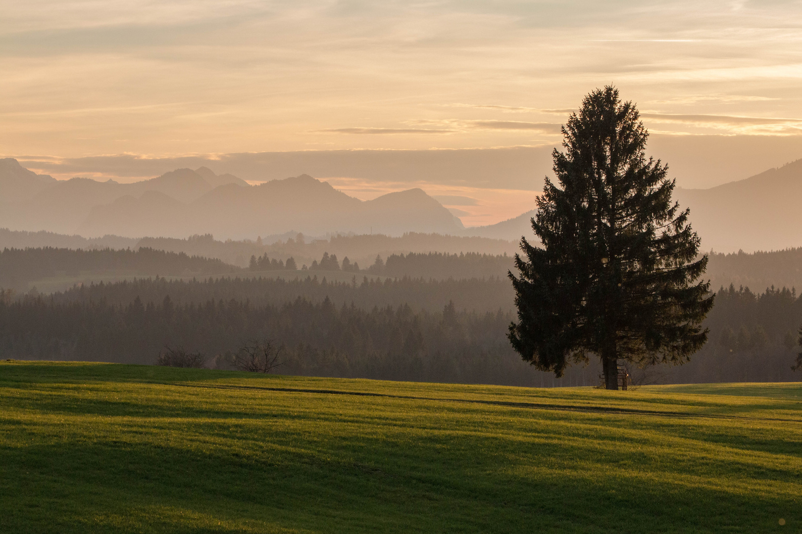 Abendstimmung im Allgäu