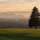 Abendstimmung im Allgäu