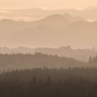 Abendstimmung im Allgäu