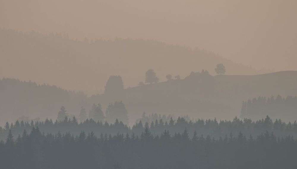 Abendstimmung im Allgäu