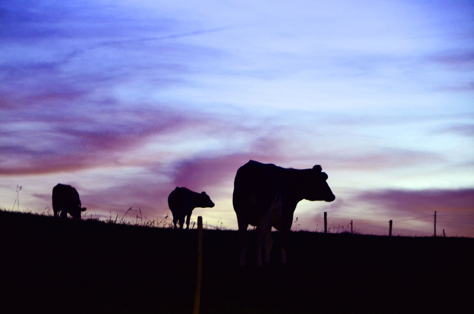 Abendstimmung im Allgäu