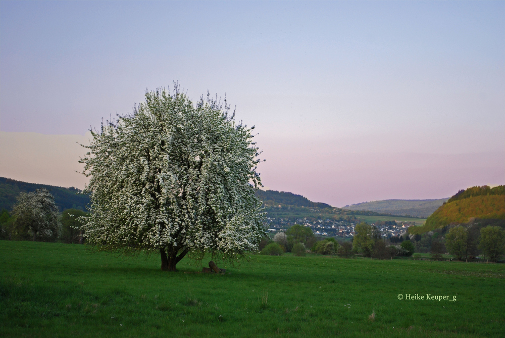 Abendstimmung im April