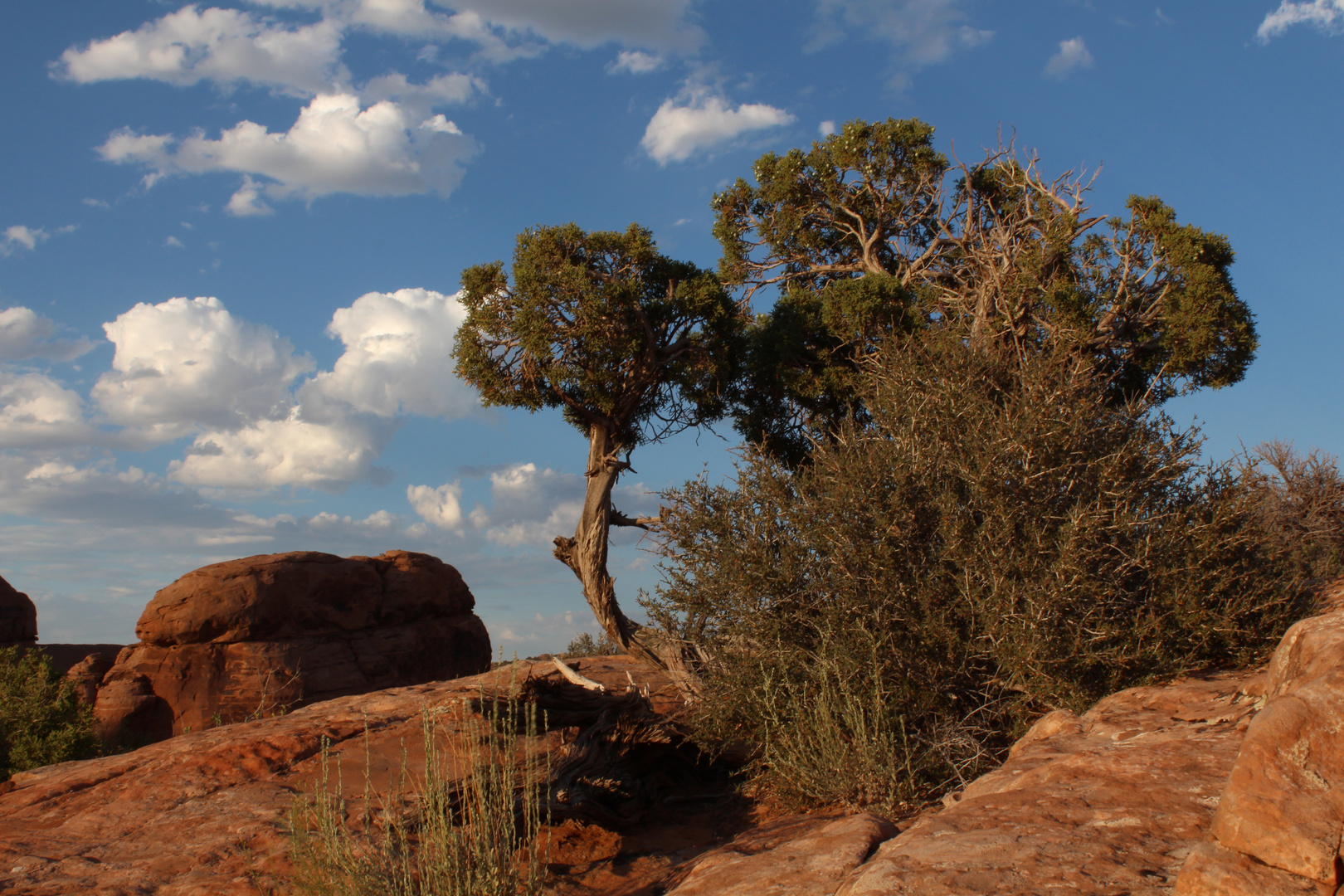 Abendstimmung im Arches NP