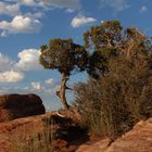 Abendstimmung im Arches NP